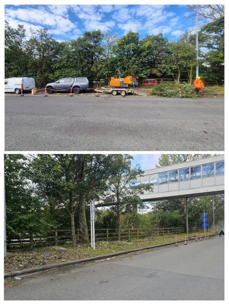 Lively scene of workers in orange vests clearing trees near vehicles and a building.