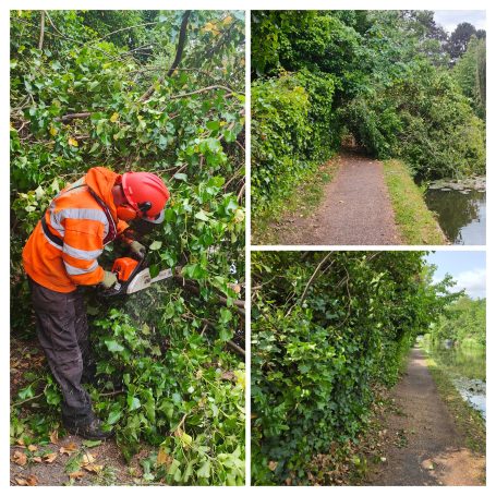 A worker in an orange jacket trims overgrown bushes along a path by a river.