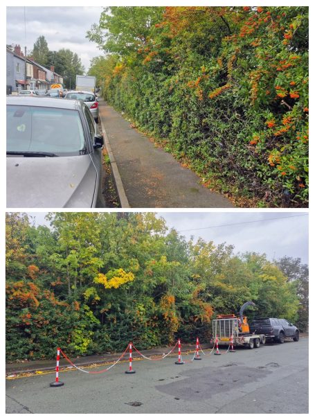 A green hedge lined with autumn foliage alongside parked cars and roadworks.